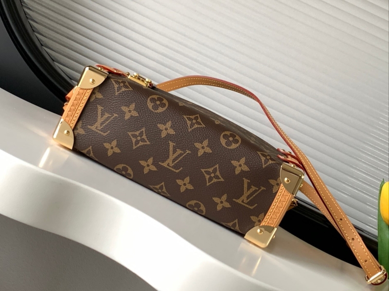 LV Box Bags